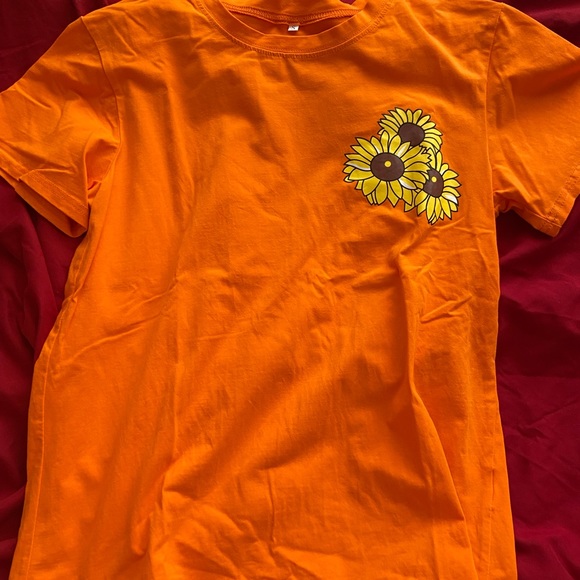 12 T-Shirts, 1 Sweater and 2 Flannel - Picture 3 of 15